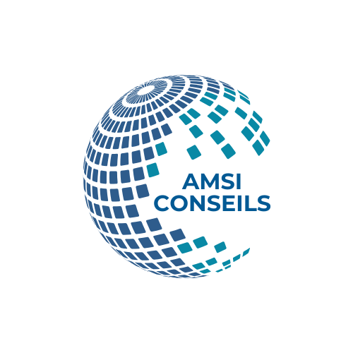 Logo AMSI CONSEILS